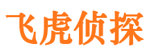 正阳市私家侦探